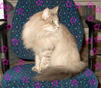 WW 02 EC S Aristo Limaz Shiva Shandra